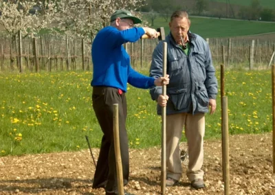 Bepflanzen des Rebberges