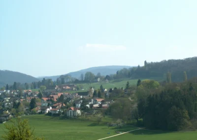 Bepflanzen des Rebberges