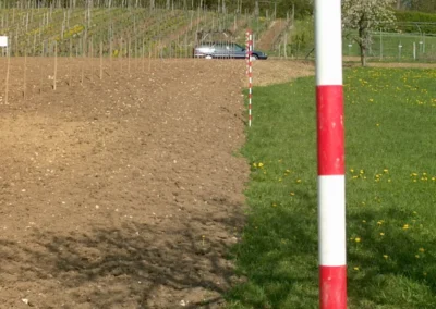Bepflanzen des Rebberges