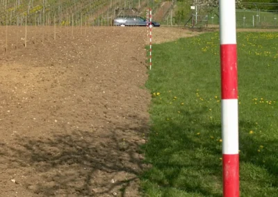 Bepflanzen des Rebberges
