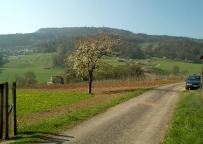Bepflanzen des Rebberges