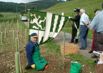 Feierlicher Akt beim Setzen der letzten Rebe
