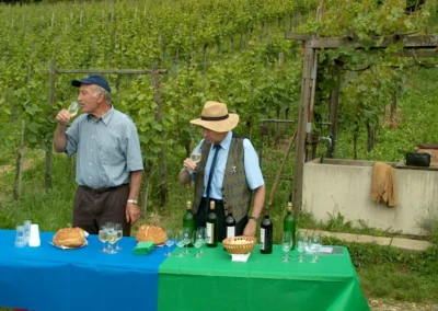 Feierlicher Akt beim Setzen der letzten Rebe