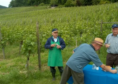 Feierlicher Akt beim Setzen der letzten Rebe