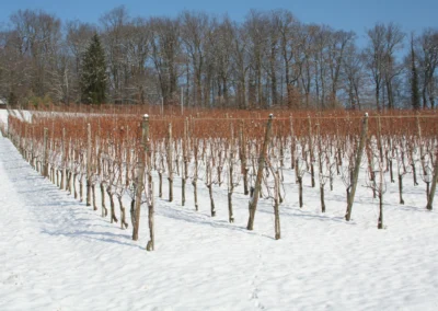 2006 - Klus - Februar