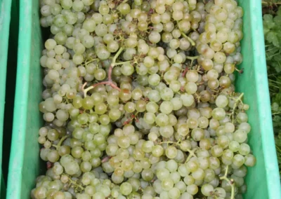 2010 - Klus - Oktober
