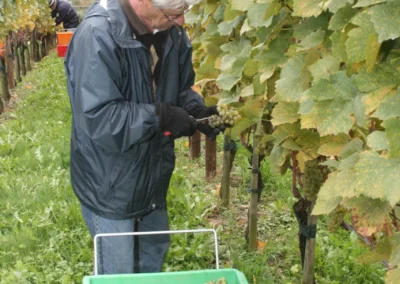 2010 - Klus - Oktober