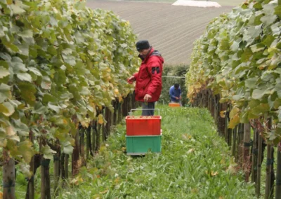 2010 - Klus - Oktober
