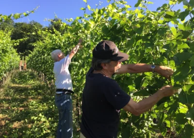 2015 - Klus - Juli
