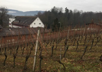 2017 - Erlenhof - Januar
