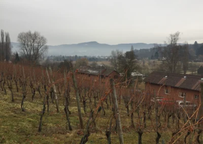 2017 - Erlenhof - Januar