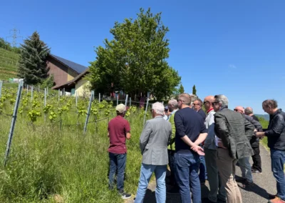 2025 Zunftwinzerausflug