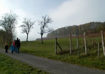 Bilder der Wiese und der Umgebung des neuen Rebberges in der Klus