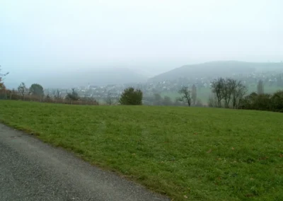 Bilder der Wiese und der Umgebung des neuen Rebberges in der Klus