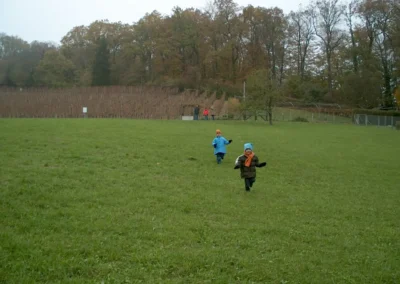 Bilder der Wiese und der Umgebung des neuen Rebberges in der Klus