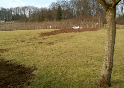Bilder der Wiese des zukünftigen Rebbergs in der Klus - erste Arbeiten