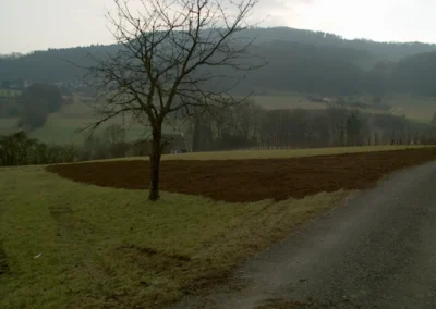Bilder der Wiese des zukünftigen Rebbergs in der Klus - erste Arbeiten