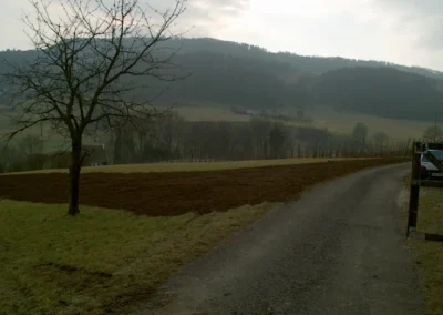 Bilder der Wiese des zukünftigen Rebbergs in der Klus - erste Arbeiten