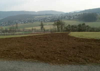 Bilder der Wiese des zukünftigen Rebbergs in der Klus - erste Arbeiten