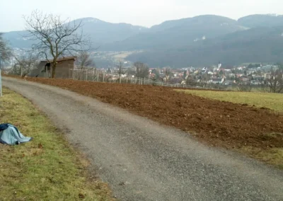 Bilder der Wiese des zukünftigen Rebbergs in der Klus - erste Arbeiten