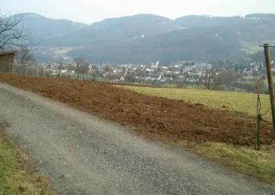 Bilder der Wiese des zukünftigen Rebbergs in der Klus - erste Arbeiten