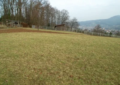 Bilder der Wiese des zukünftigen Rebbergs in der Klus - erste Arbeiten