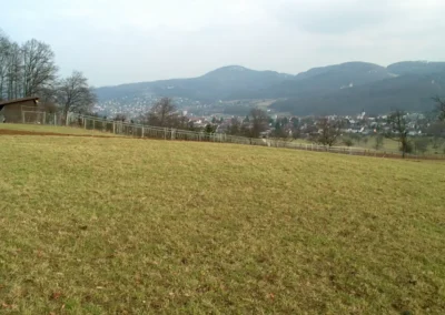 Bilder der Wiese des zukünftigen Rebbergs in der Klus - erste Arbeiten