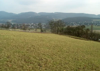 Bilder der Wiese des zukünftigen Rebbergs in der Klus - erste Arbeiten