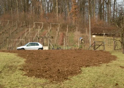 Bilder der Wiese des zukünftigen Rebbergs in der Klus - erste Arbeiten