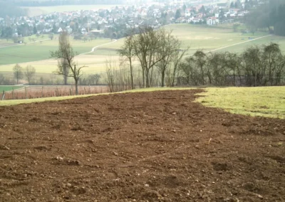 Bilder der Wiese des zukünftigen Rebbergs in der Klus - erste Arbeiten
